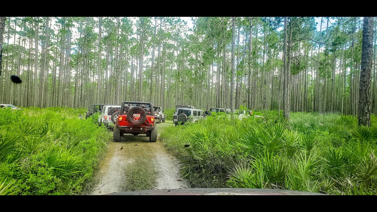 2020 May Off Roading Adventure in Osceola National Forest YouTube