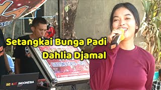 SETANGKAI BUNGA PADI - ELVY SUKAESIH || LIVE DAHLIA DJAMAL