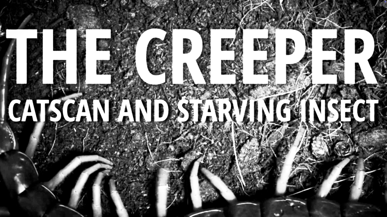 Watch Catscan & Starving Insect - The Creeper (Official Video) on YouTube Watch Catscan & Starving Insect - The Creeper (Official Video) on YouTube