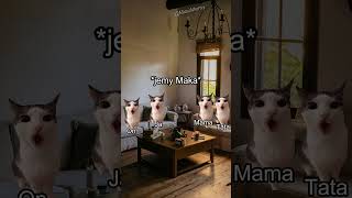 KOCIE MEMY 🐱POV: Pierwsze spotkanie z moją rodziną #catmemes #koty #memy #relatable #relacje