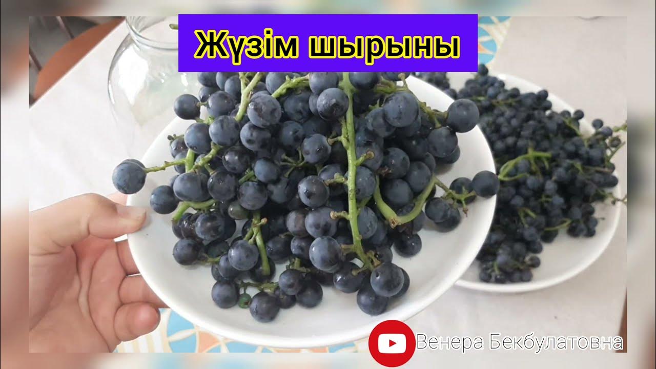 Үздік порно актрисалардың анықтамалығы Гей еркектердің жыныстық қатынасы