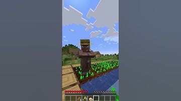 Minecraft wandering trader real story#shorts #minecraft