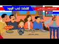 حكاية القطط تحب الورود