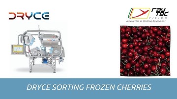 Dryce sorting machine for frozen cherries | RAYTEC VISION SpA