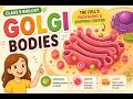 Golgi Bodies Explained | Class 9 Biology | Structure &amp; Functions of Golgi Apparatus | PCTB 2026