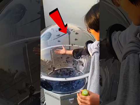 Bu şanslı çocuk, çok zengin oldu! 💸✨