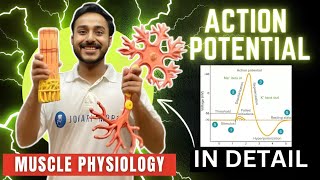 action potential physiology in hindi | ionic basis of action potential in skeletal muscle physiology