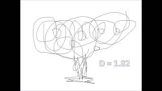 CALCULO SIMPLE DE LA DIMENSION FRACTAL DE UN DIBUJO