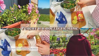 Поездка к маме//Мой ребенок видел бабайку// Салат хрустящий баклажан с помидорами