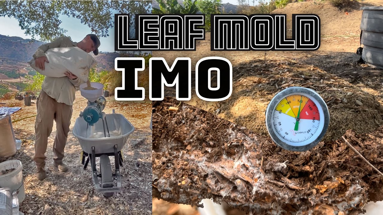 Leaf Mold IMO. Soil builder. Cho OG Recipe. Indigenous Microbes.