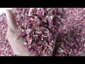 Video Image