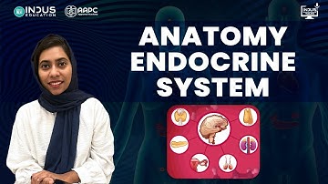 Anatomy Endocrine System | Medical Coding  |  Anatomy | Indus Education