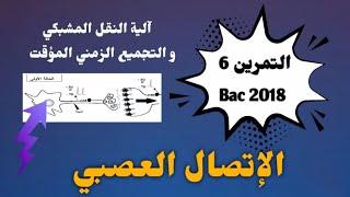 ماهي آلية النقل المشبكي و التجميع الزمني 🕓 ؟ الوحدة 5 : الإتصال العصبي ] .
