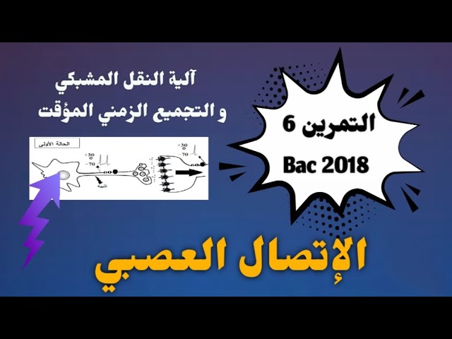 ماهي آلية النقل المشبكي و التجميع الزمني 🕓 ؟ الوحدة 5 : الإتصال العصبي ] .