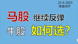 马股继续反弹，牛股如何选？TOPGLOV 22/6/2023 | homilychart | 马股投资 | 股票教学|股票入门| #顶级手套#教学#种植股