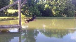 Mr. Jett's Dock Launch!! (Side View)