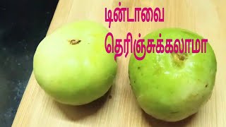 டின்டா மசாலா | Tinda masala|Tinda masala in Tamil | New veg side dishes in tamil | Vegetarian