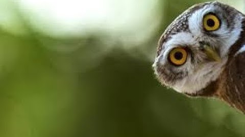 Service Organization Control (SOC) - Part 1