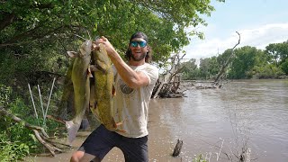 River Fishing Using Set Lines for Flathead Catfish!! (FULL STRINGER)