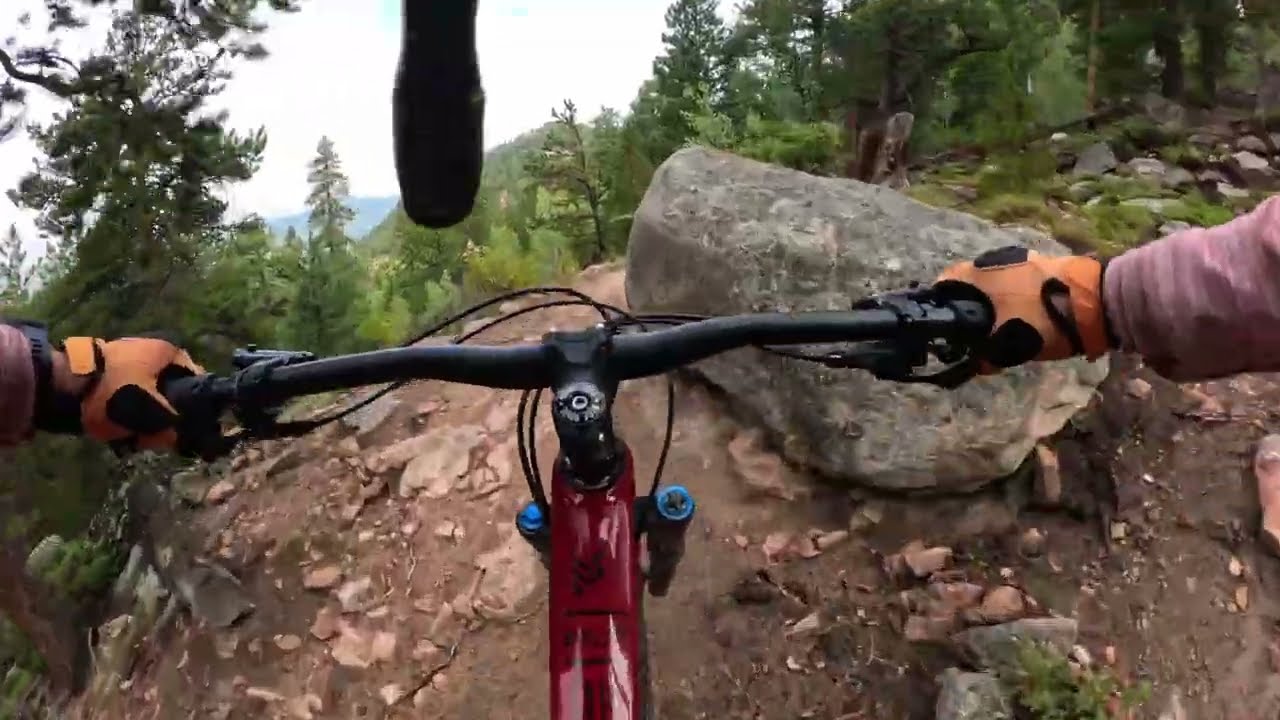 Golden Gate Canyon - Blue Grouse and Mule Deer MTB!