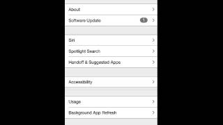 iOS 8 Accessibility Settings screenshot 5