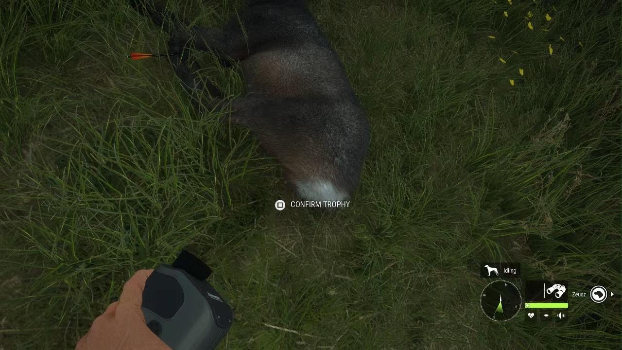 theHunter: Call of the Wild_20260301145542