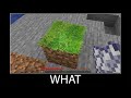 Minecraft wait what meme part 30 realistic minecraft grass