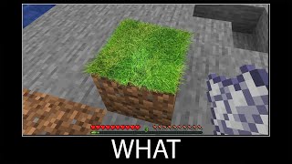 Minecraft wait what meme part 30 realistic minecraft grass