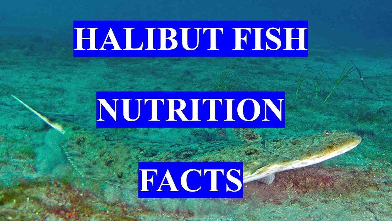HALIBUT FISH - HEALTH BENEFITS AND NUTRITION FACTS