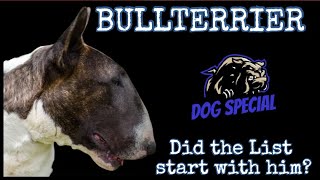 Standard Bullterrier - Hat mit ihm alles begonnen? by DOG SPECIAL 1,789 views 8 days ago 41 minutes