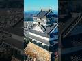 Climbing a japanese castle shorts