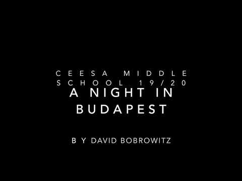 A night in Budapest CEESA Band festival 2020