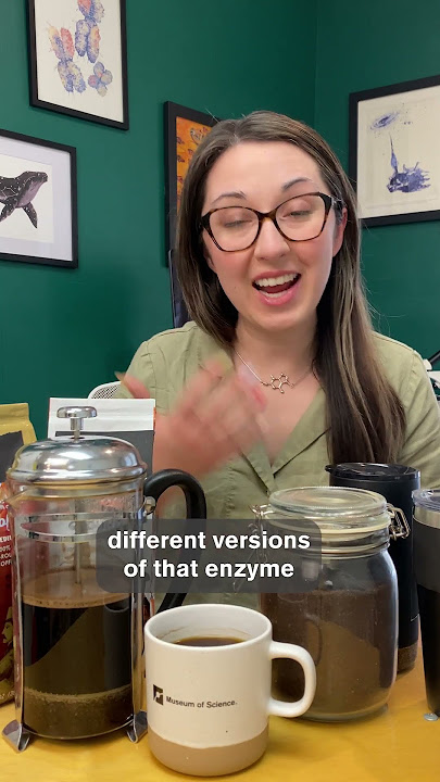 Caffeine Sensitivity Is In Your Genes | Genes in Action