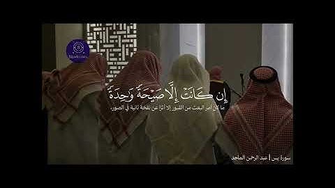 القارئ عبدالرحمن الماجد #اكسبلور #القزابري #duet #المصحف #لايك #الرحمن #دويتو #الطحان #راحة_نفسية