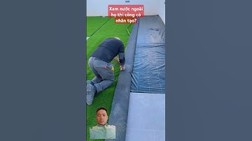 Xem nước ngoài họ thi công cỏ nhân tạo sân vườn?