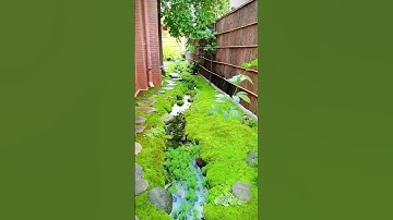 Làm 1 con suối nhỏ ngay cạnh nhà #xuhuong #giaitri #thugian