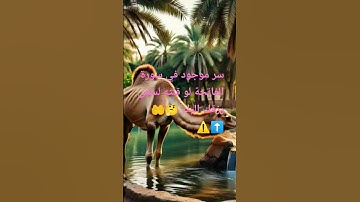 سر موجود في سورة الفاتحة لو قلته لسعى رزقك اليك #صلوا_على_النبي #قرآن #allah #اكسبلور #دعاء_الرزق