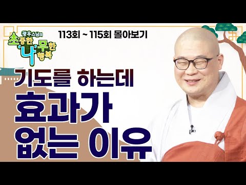 기도를 하는데 효과가 없는 이유  [광우스님 소나무 3편 몰아보기]