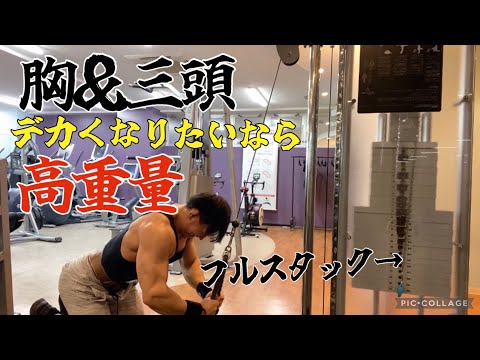 [Chest & Tricep Training] 9 Exercises Explained! Heavy Weights Are Essential for Getting Bigger!