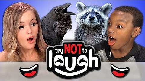 Try to Watch This Without Laughing or Grinning #21 (REACT)