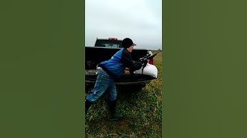 .270 savage rifle sight in