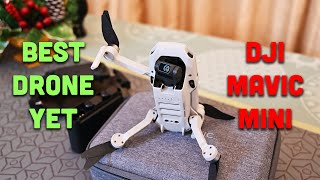 DJI Mavic Mini - the Best Drone of 2019? Unboxed and Tested Under 36 km/h Winds!