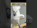 ゆきまる氏が日常でしてくれること9選 #shorts