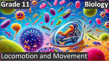 Grade 11 | Biology | Locomotion and Movement | Free Tutorial | CBSE | ICSE | State Board