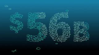 The economic, social and icon value of the Great Barrier Reef