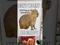 Don’t worry be cappy!🤣#poster#capybara#funny