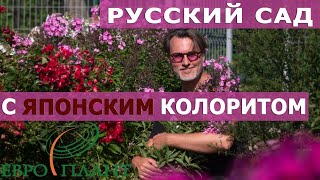 видео: Прогулка по саду на закате лета картинка: Прогулка по саду на закате лета