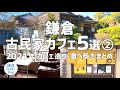 【鎌倉/古民家カフェ５選②】2021年上半期 カフェ巡りまとめ PART1｜KAMAKURA DIARY Vlog #73