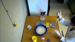 Transformation of Competent Cells - Part II