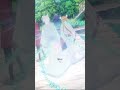 â€¦â€¦å¾Œã§ãŸã£ã·ã‚ŠãŠä»•ç½®ãã ï½œTVã‚¢ãƒ‹ãƒ¡ã€Œ#ç™¾åƒã•ã‚“å®¶ã®ã‚ã‚„ã‹ã—çŽ‹å­ã€å…¶ã